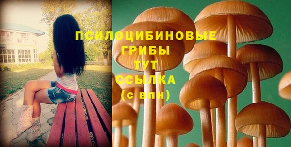 соль ск Балахна