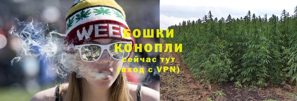 ГАЛЛЮЦИНОГЕННЫЕ ГРИБЫ Балабаново