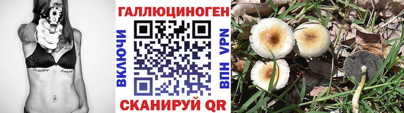 Псилоцибиновые грибы MAGIC MUSHROOMS  Северо-Курильск 